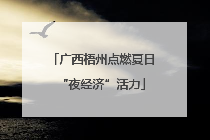 广西梧州点燃夏日“夜经济”活力