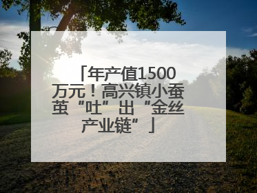 年产值1500万元！高兴镇小蚕茧“吐”出“金丝产业链”