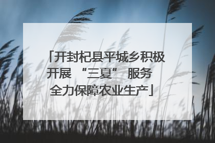 开封杞县平城乡积极开展 “三夏” 服务 全力保障农业生产