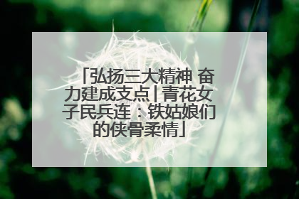弘扬三大精神 奋力建成支点│青花女子民兵连：铁姑娘们的侠骨柔情