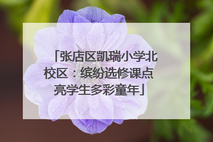 张店区凯瑞小学北校区：缤纷选修课点亮学生多彩童年