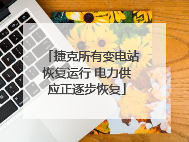 捷克所有变电站恢复运行 电力供应正逐步恢复