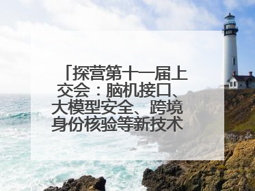 探营第十一届上交会：脑机接口、大模型安全、跨境身份核验等新技术将悉数亮相