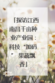 探访江西南昌千亩种业产业园：科技“加码” 果蔬飘香