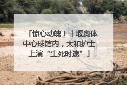 惊心动魄！十堰奥体中心球馆内，太和护士上演“生死时速”