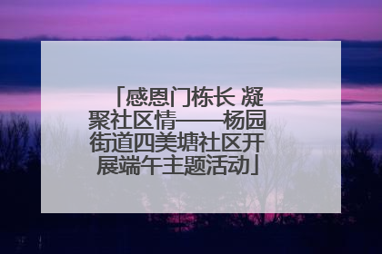感恩门栋长 凝聚社区情——杨园街道四美塘社区开展端午主题活动