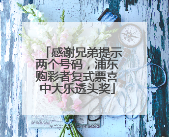感谢兄弟提示两个号码，浦东购彩者复式票喜中大乐透头奖