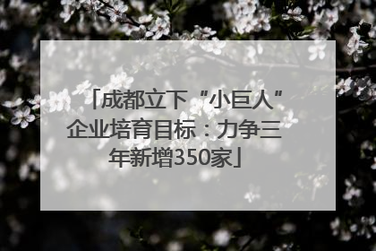成都立下“小巨人”企业培育目标：力争三年新增350家