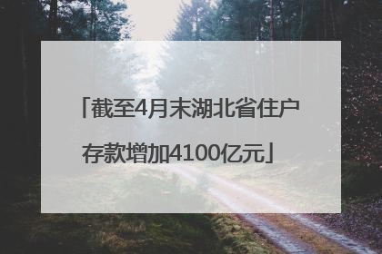 截至4月末湖北省住户存款增加4100亿元