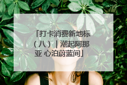 打卡消费新地标（八）｜潮起阿那亚 心泊蔚蓝间