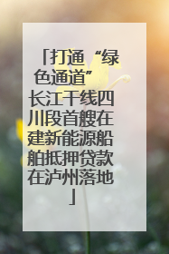 打通“绿色通道” 长江干线四川段首艘在建新能源船舶抵押贷款在泸州落地
