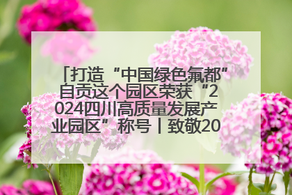 打造“中国绿色氟都” 自贡这个园区荣获“2024四川高质量发展产业园区”称号丨致敬2024经济影响力人物
