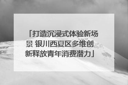 打造沉浸式体验新场景 银川西夏区多维创新释放青年消费潜力