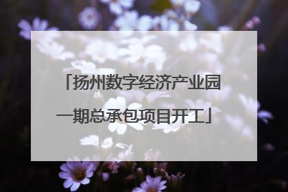 扬州数字经济产业园一期总承包项目开工