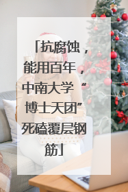 抗腐蚀，能用百年，中南大学“博士天团”死磕覆层钢筋
