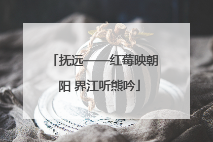 抚远——红莓映朝阳 界江听熊吟