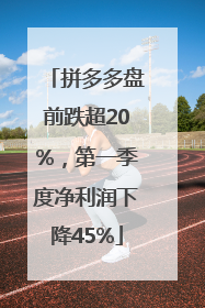 拼多多盘前跌超20%，第一季度净利润下降45%