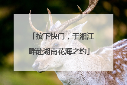 按下快门，于湘江畔赴湖南花海之约