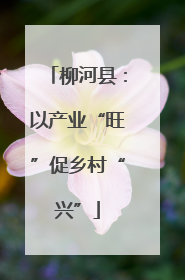 柳河县：以产业“旺”促乡村“兴”