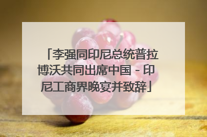 李强同印尼总统普拉博沃共同出席中国－印尼工商界晚宴并致辞