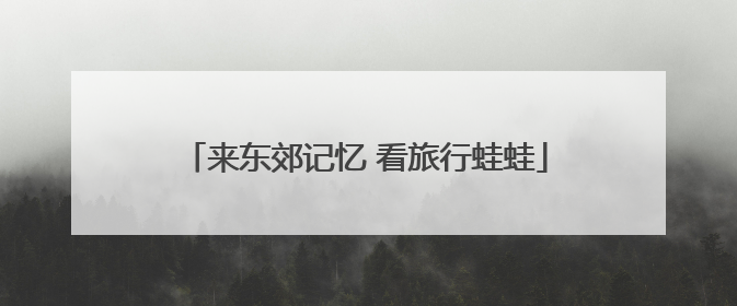 来东郊记忆 看旅行蛙蛙