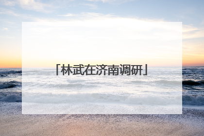 林武在济南调研