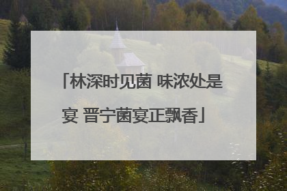 林深时见菌 味浓处是宴 晋宁菌宴正飘香