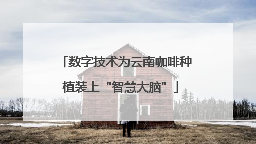 数字技术为云南咖啡种植装上“智慧大脑”