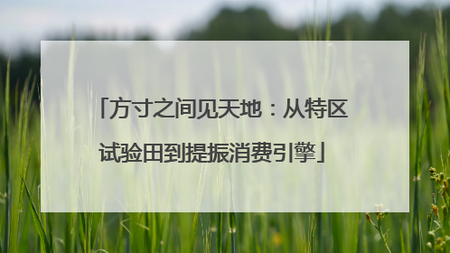 方寸之间见天地：从特区试验田到提振消费引擎
