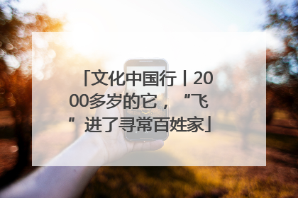 文化中国行丨2000多岁的它，“飞”进了寻常百姓家