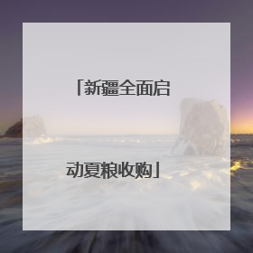 新疆全面启动夏粮收购