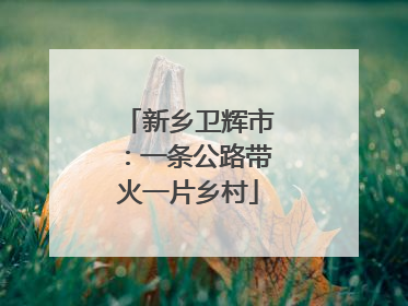 新乡卫辉市：一条公路带火一片乡村