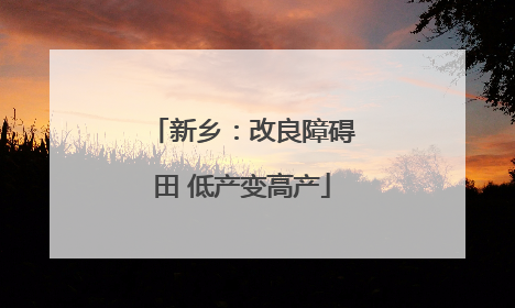 新乡：改良障碍田 低产变高产