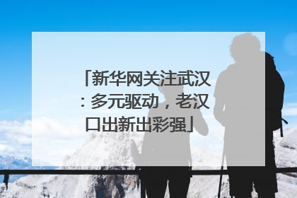 新华网关注武汉：多元驱动，老汉口出新出彩强