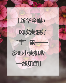 新华全媒+｜风吹麦浪好“丰”景——多地小麦机收一线见闻