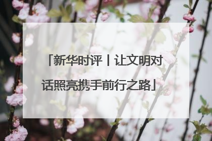 新华时评丨让文明对话照亮携手前行之路