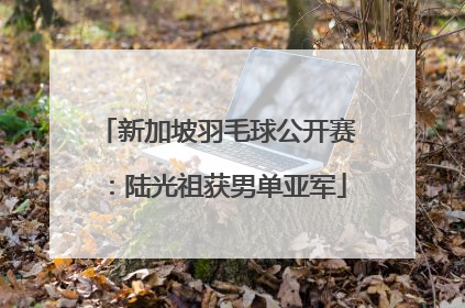 新加坡羽毛球公开赛：陆光祖获男单亚军