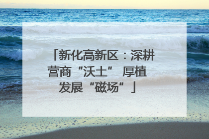 新化高新区：深耕营商“沃土” 厚植发展“磁场”