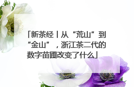 新茶经丨从“荒山”到“金山”，浙江茶二代的数字苗圃改变了什么