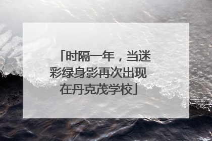 时隔一年，当迷彩绿身影再次出现在丹克茂学校