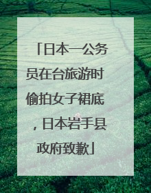 日本一公务员在台旅游时偷拍女子裙底，日本岩手县政府致歉