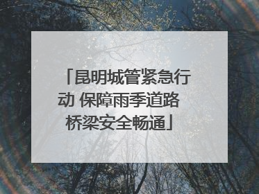 昆明城管紧急行动 保障雨季道路桥梁安全畅通
