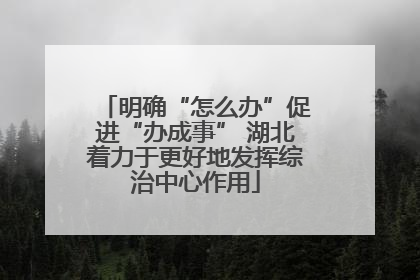明确“怎么办”促进“办成事” 湖北着力于更好地发挥综治中心作用