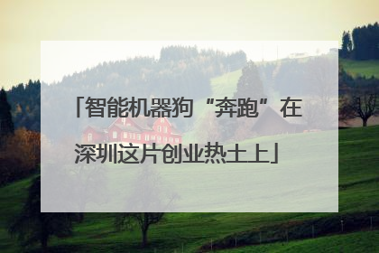 智能机器狗“奔跑”在深圳这片创业热土上