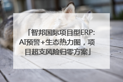 智邦国际项目型ERP:AI预警+生态热力图，项目超支风险归零方案