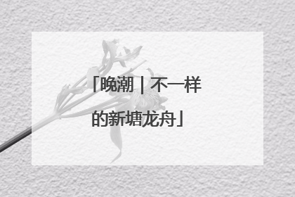 晚潮｜不一样的新塘龙舟