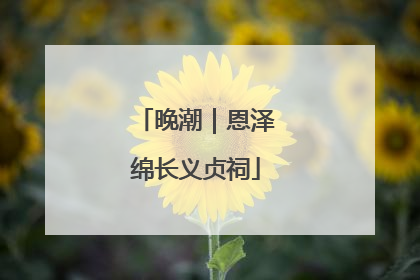 晚潮｜恩泽绵长义贞祠