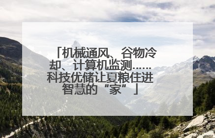 机械通风、谷物冷却、计算机监测……科技优储让夏粮住进智慧的“家”