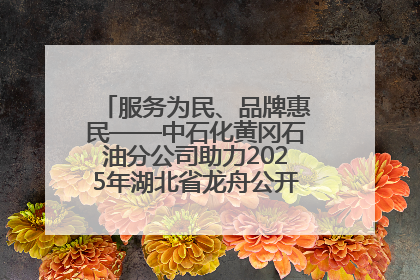 服务为民、品牌惠民——中石化黄冈石油分公司助力2025年湖北省龙舟公开赛（黄冈站）