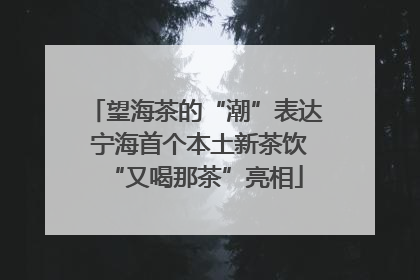 望海茶的“潮”表达 宁海首个本土新茶饮“又喝那茶”亮相